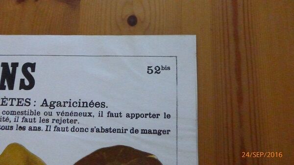 Educational poster DEYROLLE