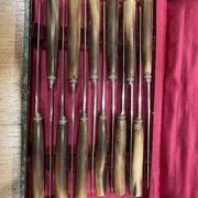 Box of 12 horn-handled knives