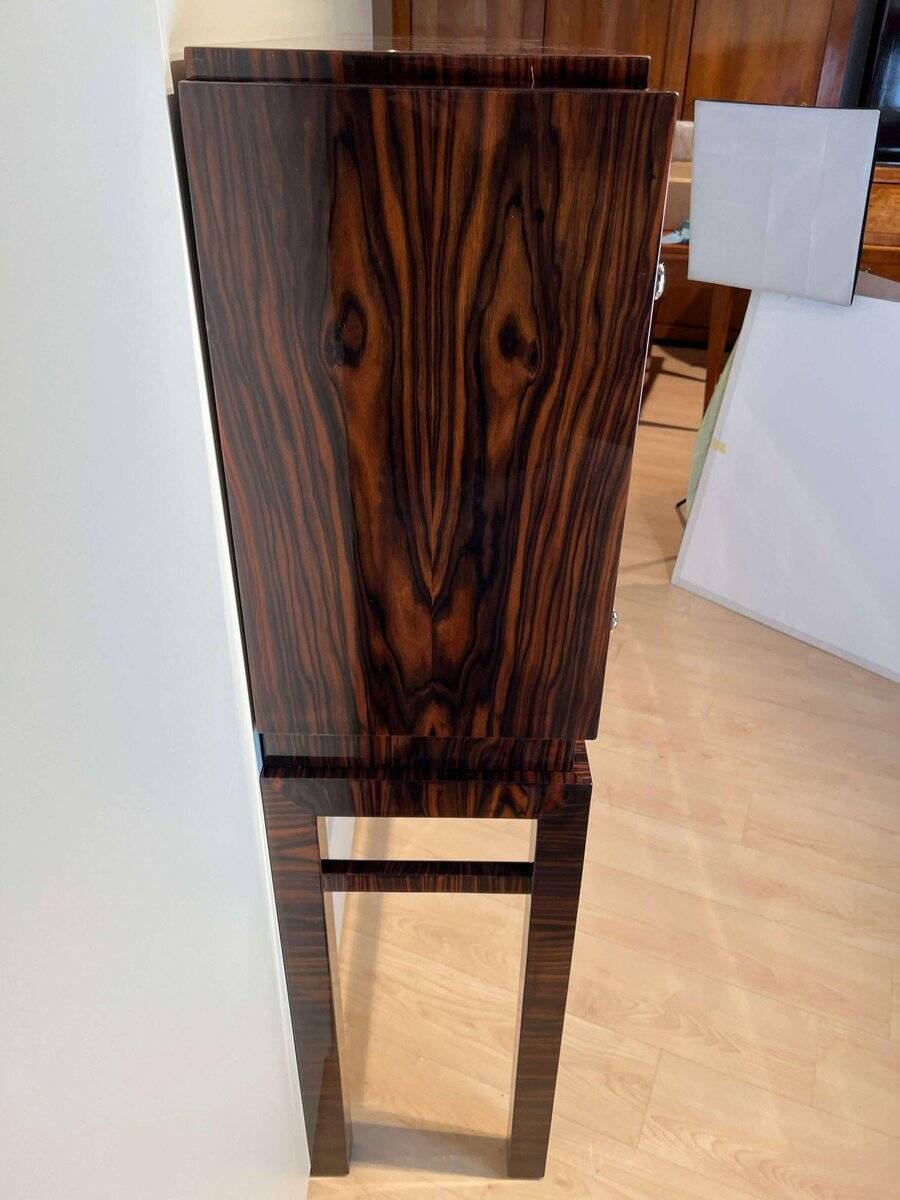 Tall Art Deco Cabinet in Macassar Veneer and Mahogany, France, 1930s