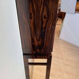 Tall Art Deco Cabinet in Macassar Veneer and Mahogany, France, 1930s