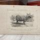 Vintage landscape painting