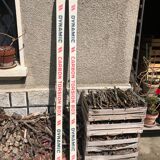 Pair of vintage skis