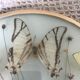 Cadre vintage papillons
