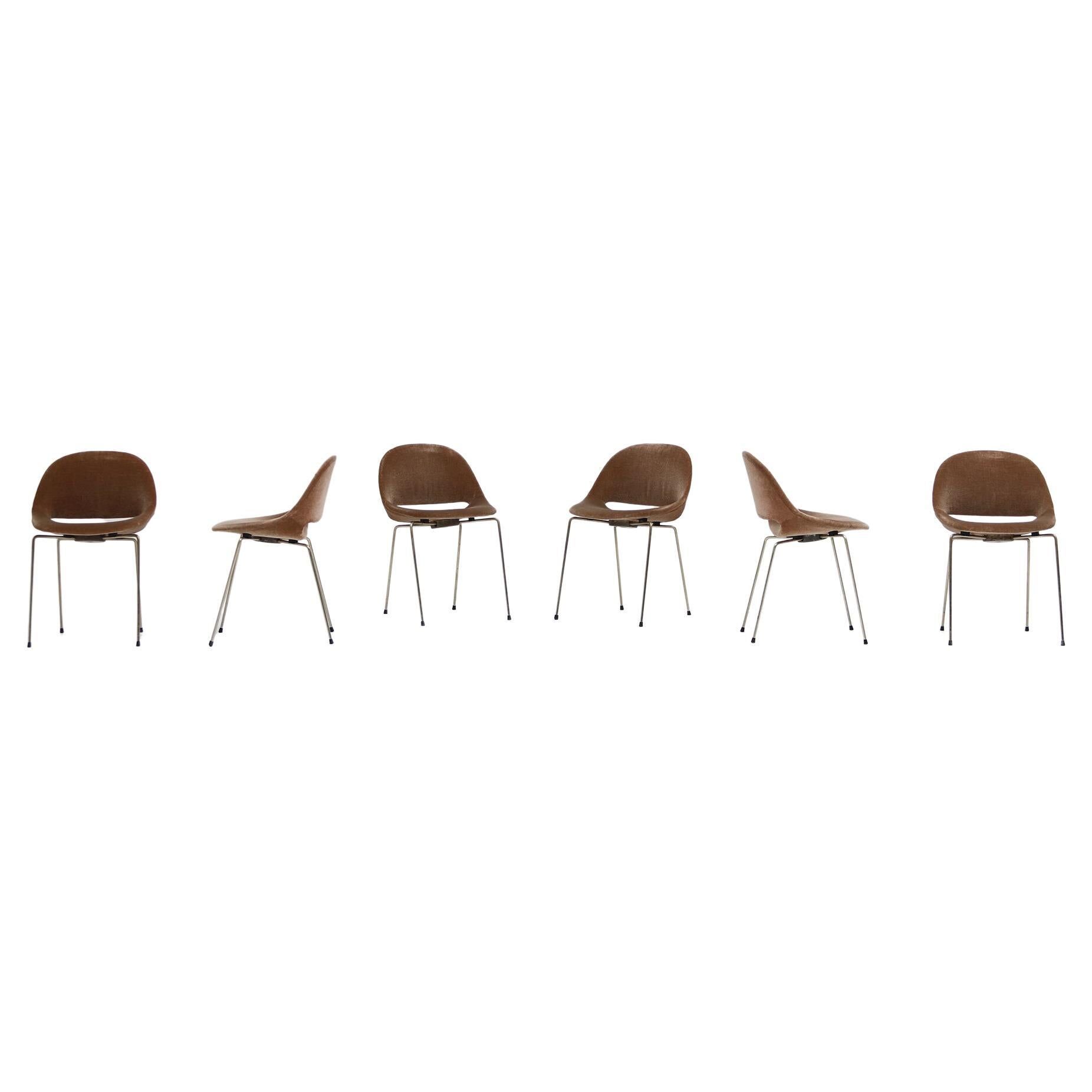 Set of six "Tonneau" chairs by Pierre Guariche, manufactured by Steiner in the 1950s.