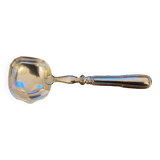 Old sauce spoon