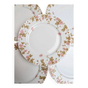 Set of 6 vintage French porcelain plates – pink floral design