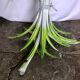 Floor lamp bouquet of summer flowers