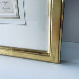 Botanical engraving framed