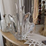 Daum cup