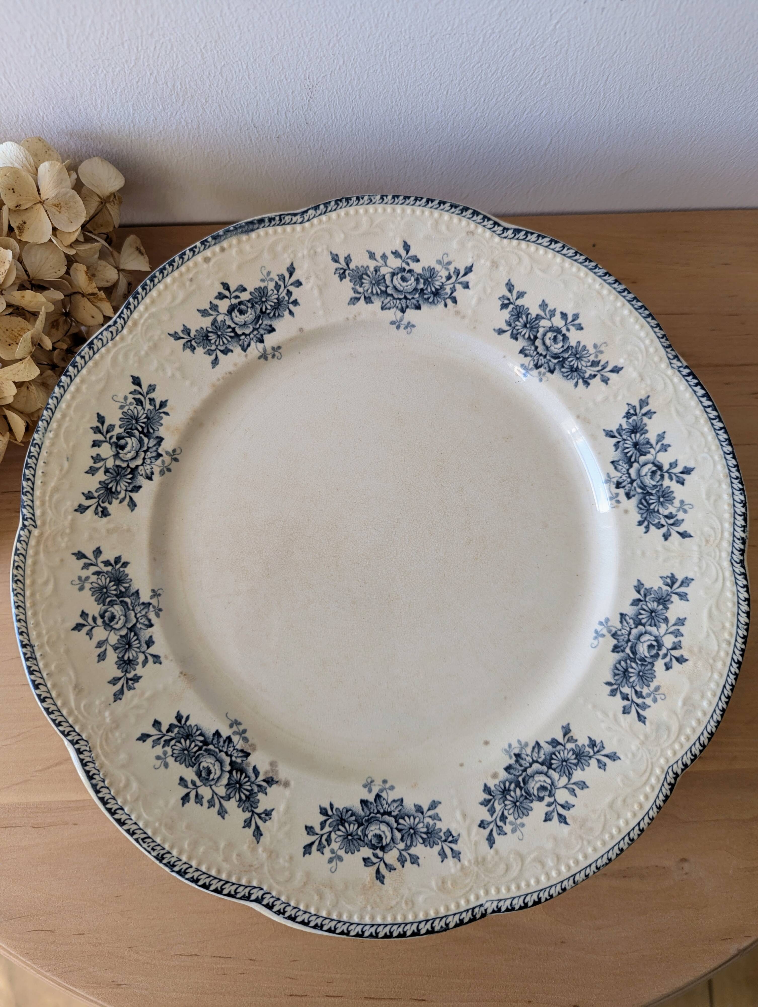 Lot of 10 old Badonviller Richelieu ironstone plates