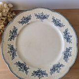 Lot of 10 old Badonviller Richelieu ironstone plates