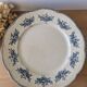 Lot of 10 old Badonviller Richelieu ironstone plates