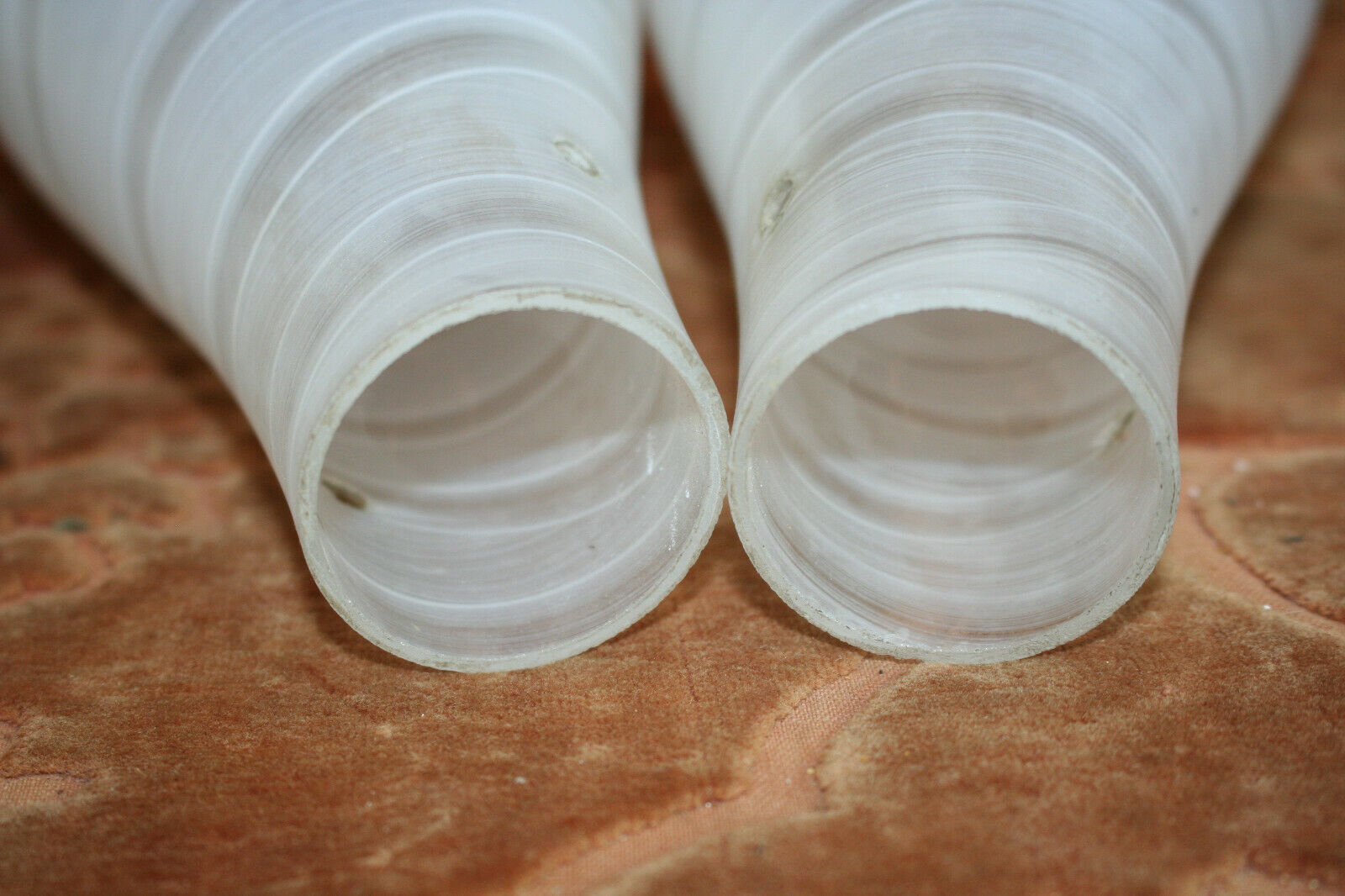 Frosted glass tulips