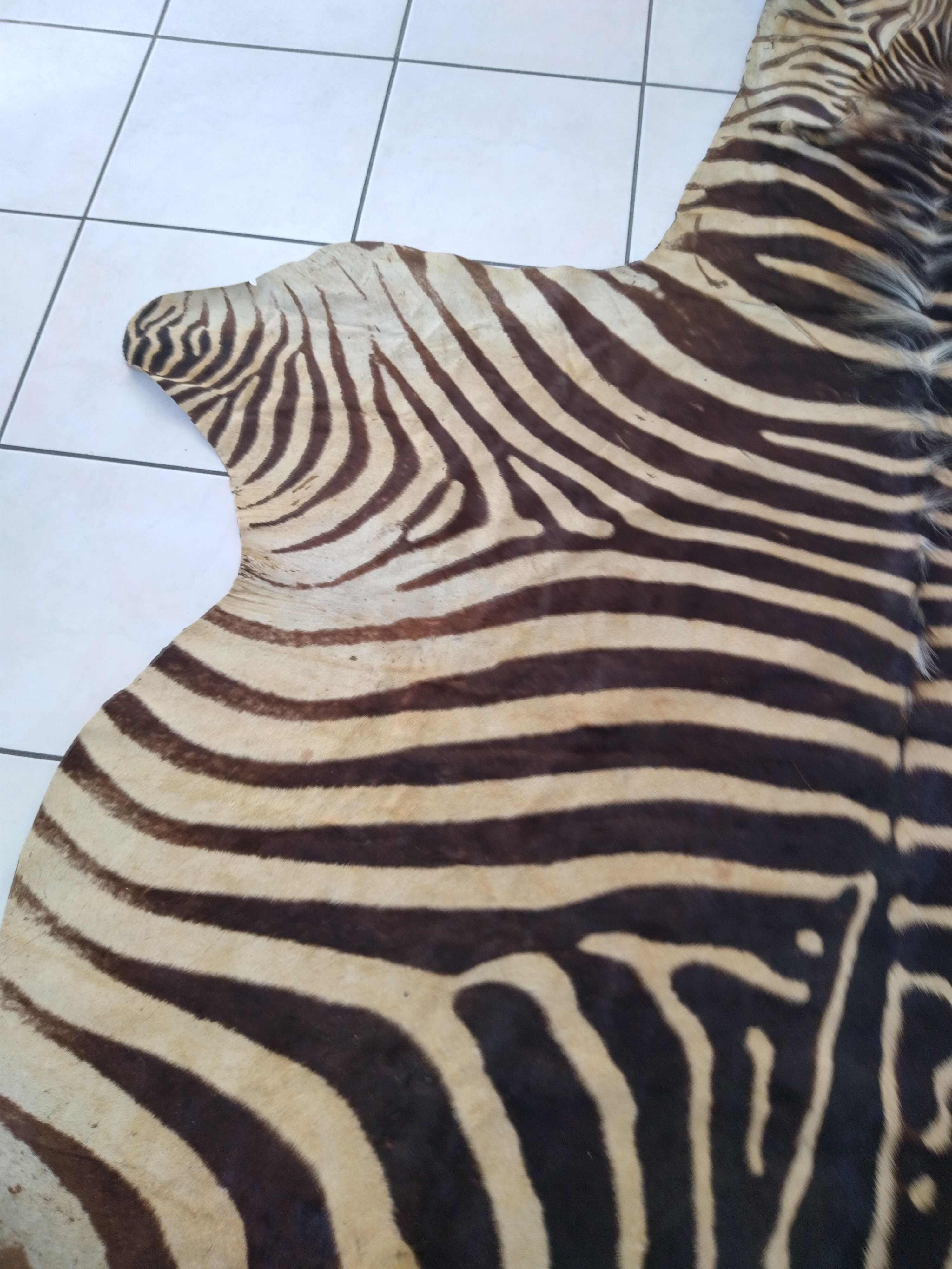 Zebra skin