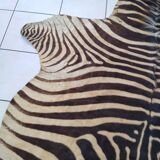 Zebra skin