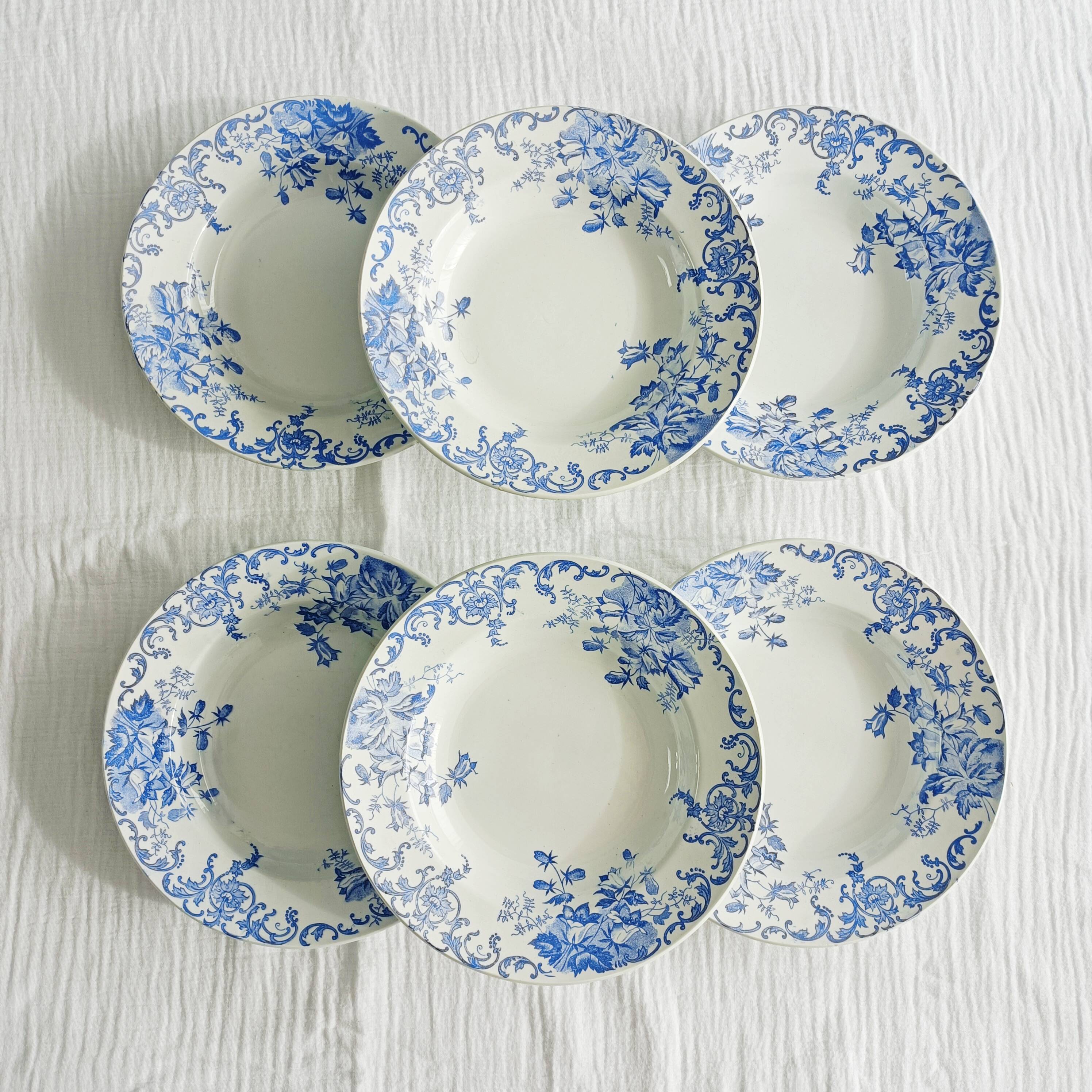 Set of 6 Saint Amand et Hamage iron earth soup plates, Bellflower