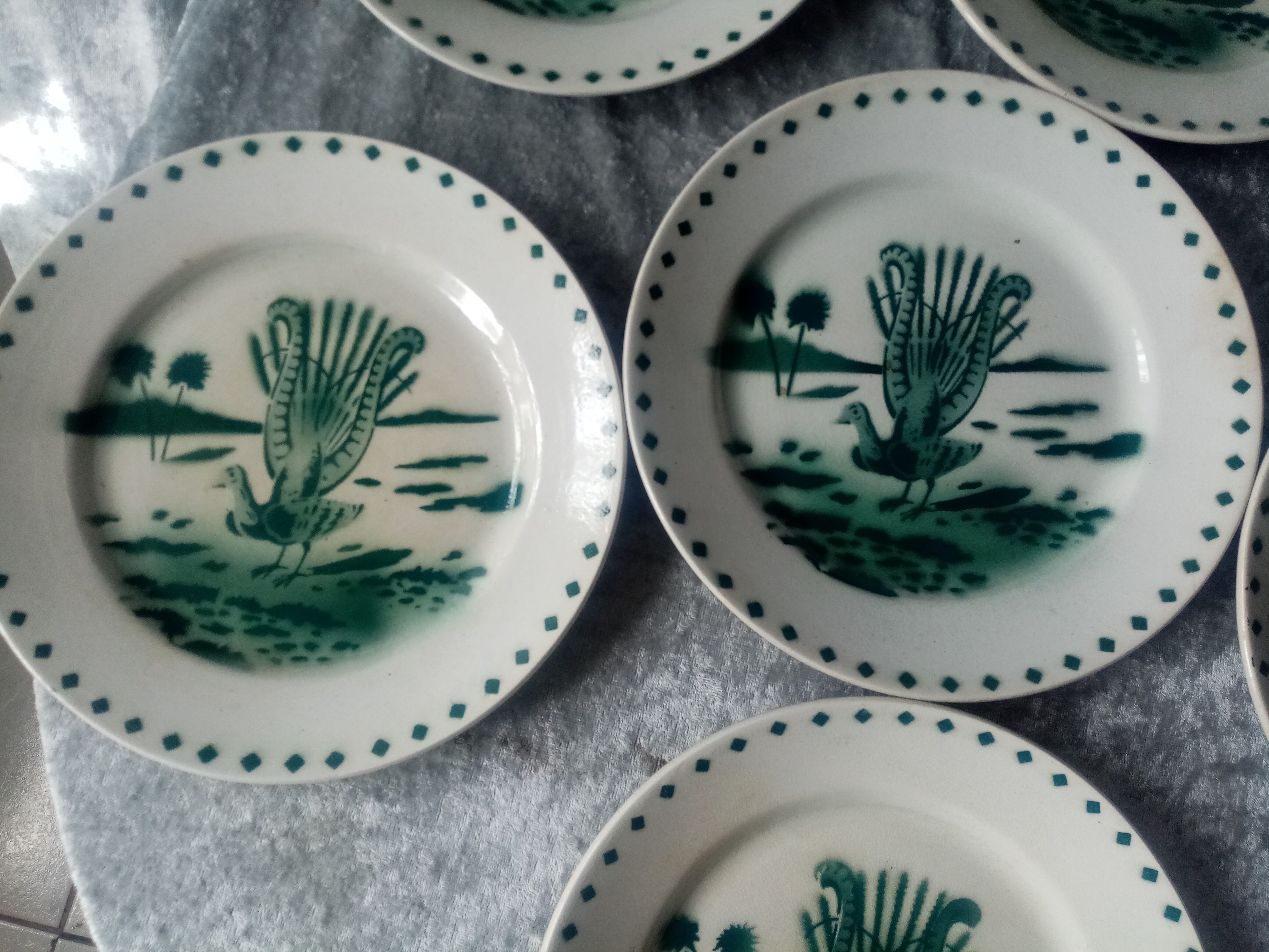 Series of 6 flat plates a decor d4bird of paradise pexonne fp