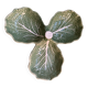 Plat feuilles de choux