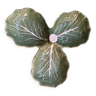 Cabbage leaf dish
