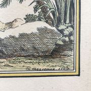 Illustration the bird of paradise