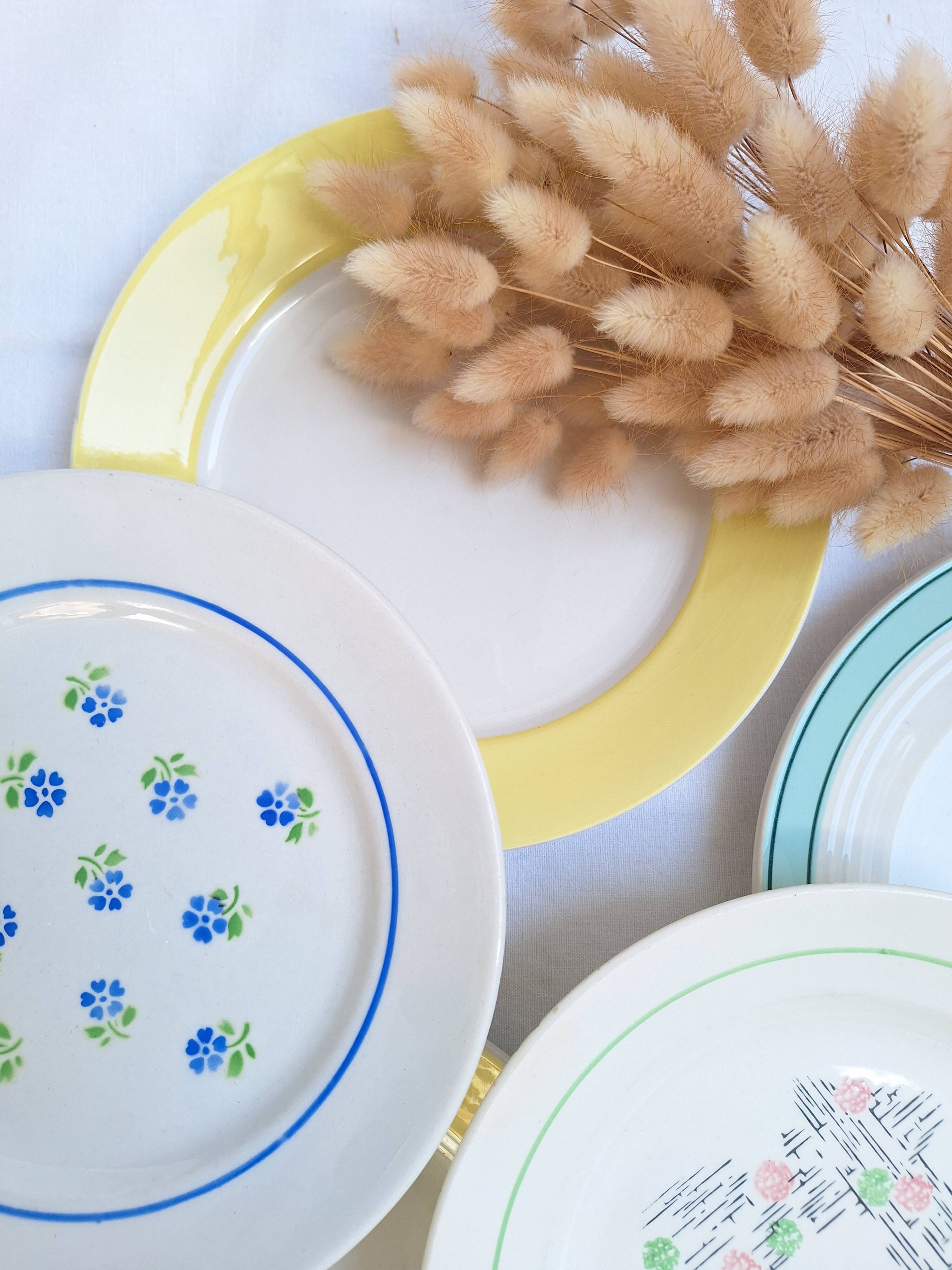 Flat plates Luneville, Céranord, Badonviller