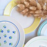 Flat plates Luneville, Céranord, Badonviller