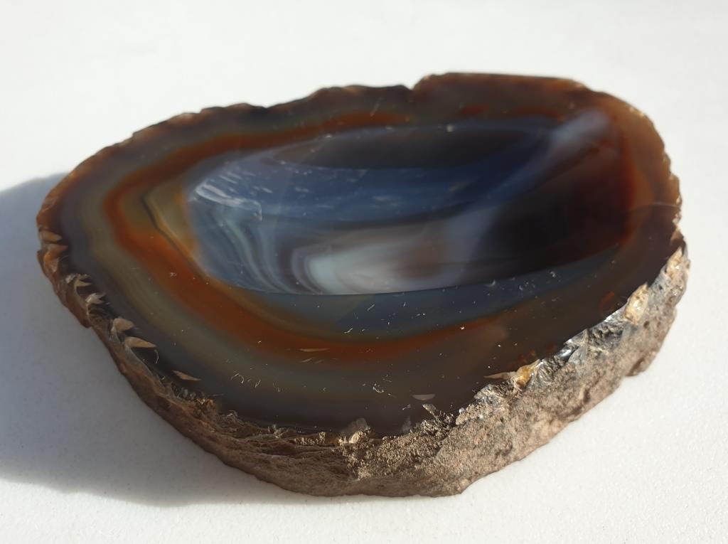 Petrified wood pocket tray