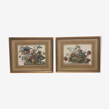 Pair of framed botanical boards