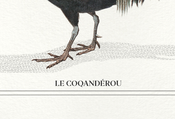 Set of 2 framed chimera lithograph animal engraving