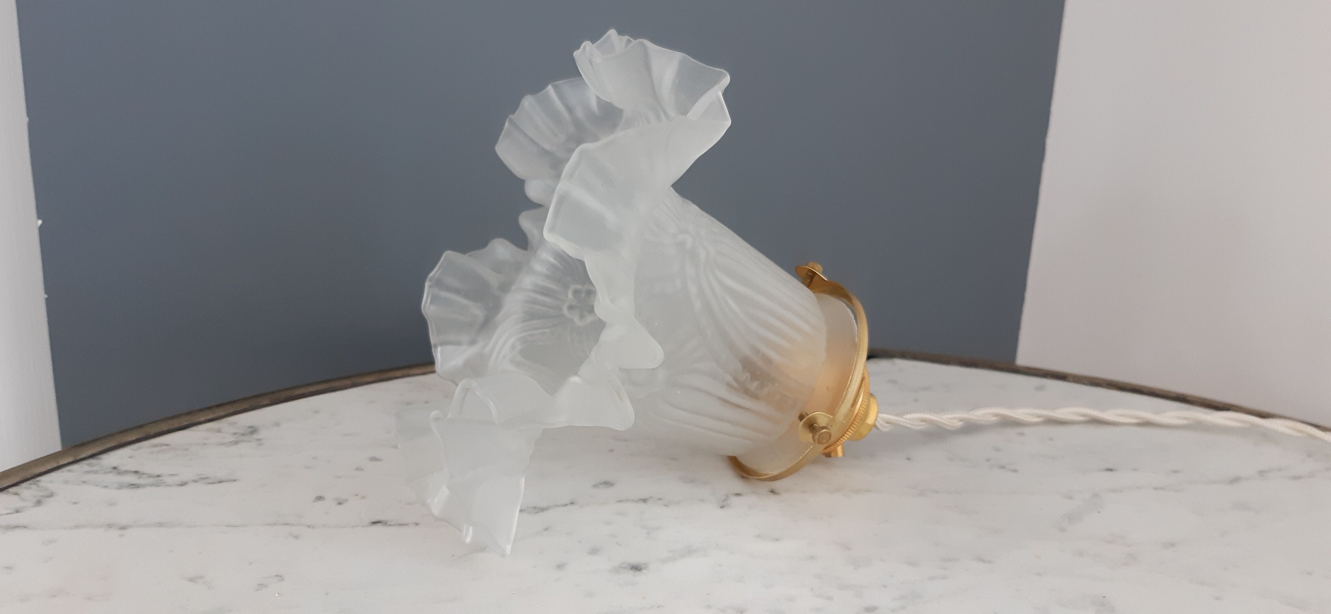 Walkman / suspension tulip in glass early twentieth century