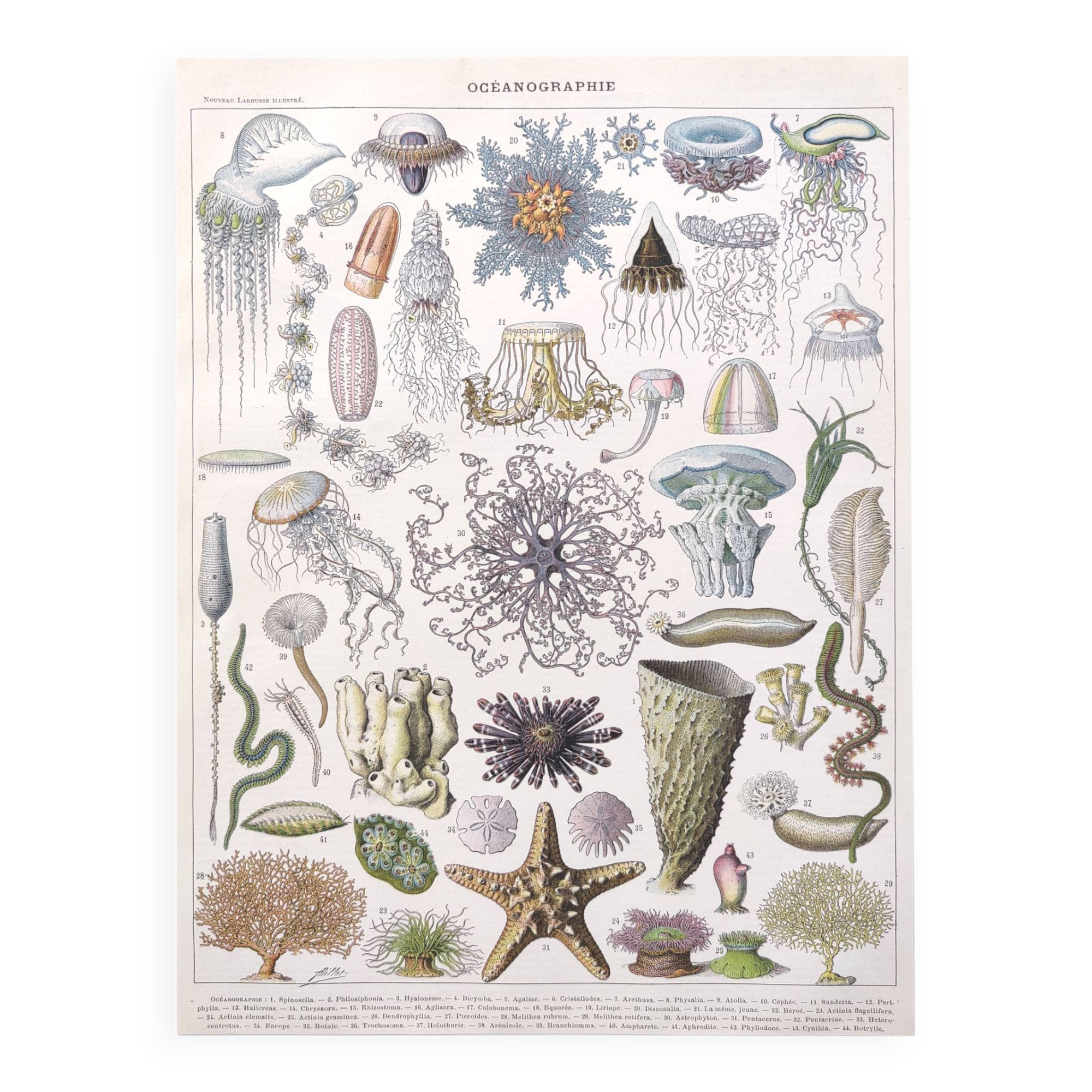 Lithograph plate world of the sea oceanography 1900