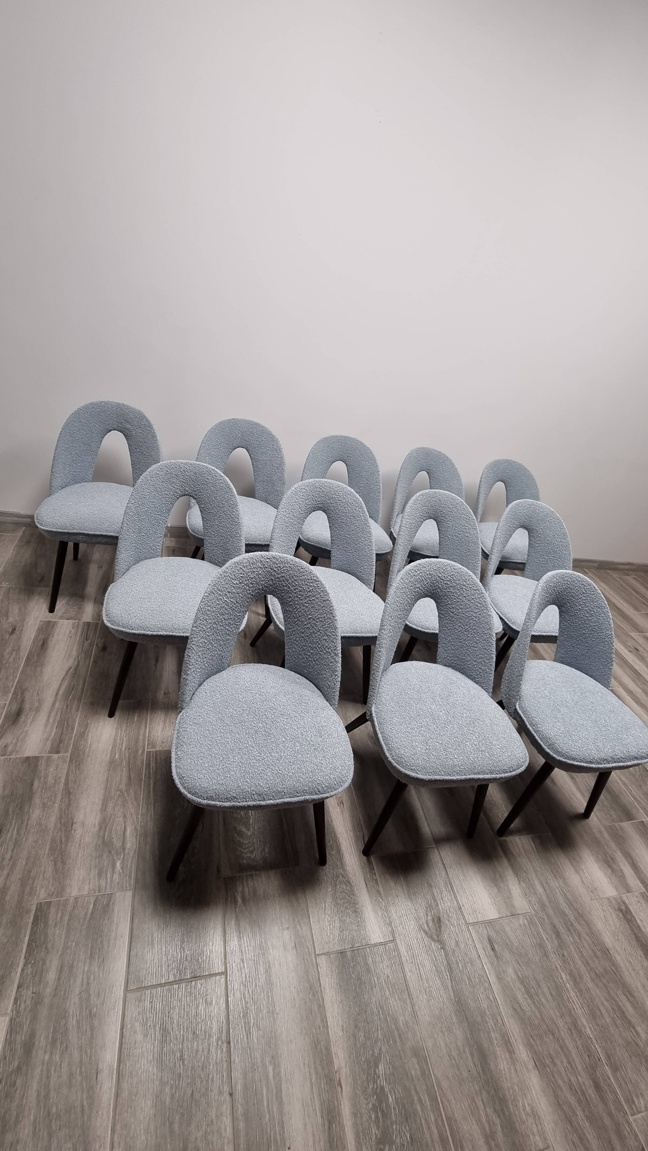Chaises de Salle à Manger par Antonin Suman, 1960s, Set de 12