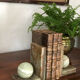 Onyx book clambands