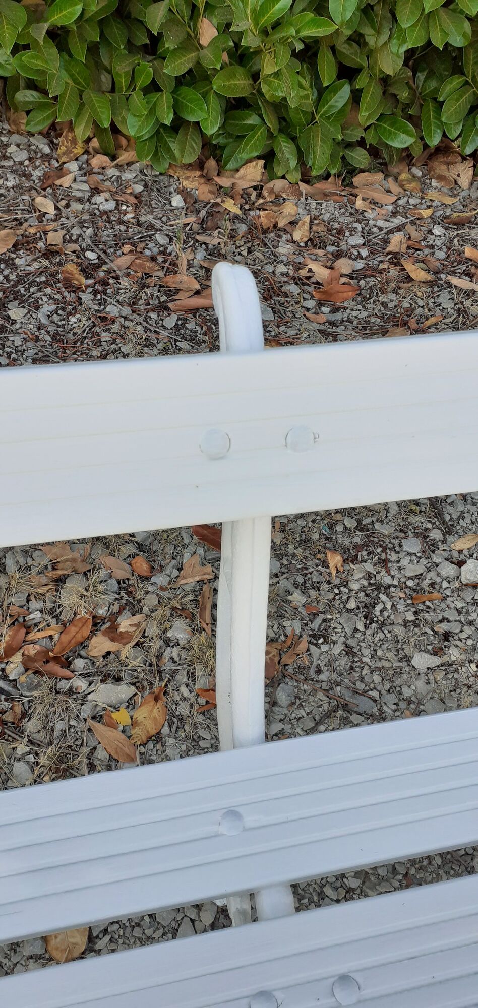 Old white garden bench cast iron feet 19th century