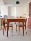 vintage extendable table