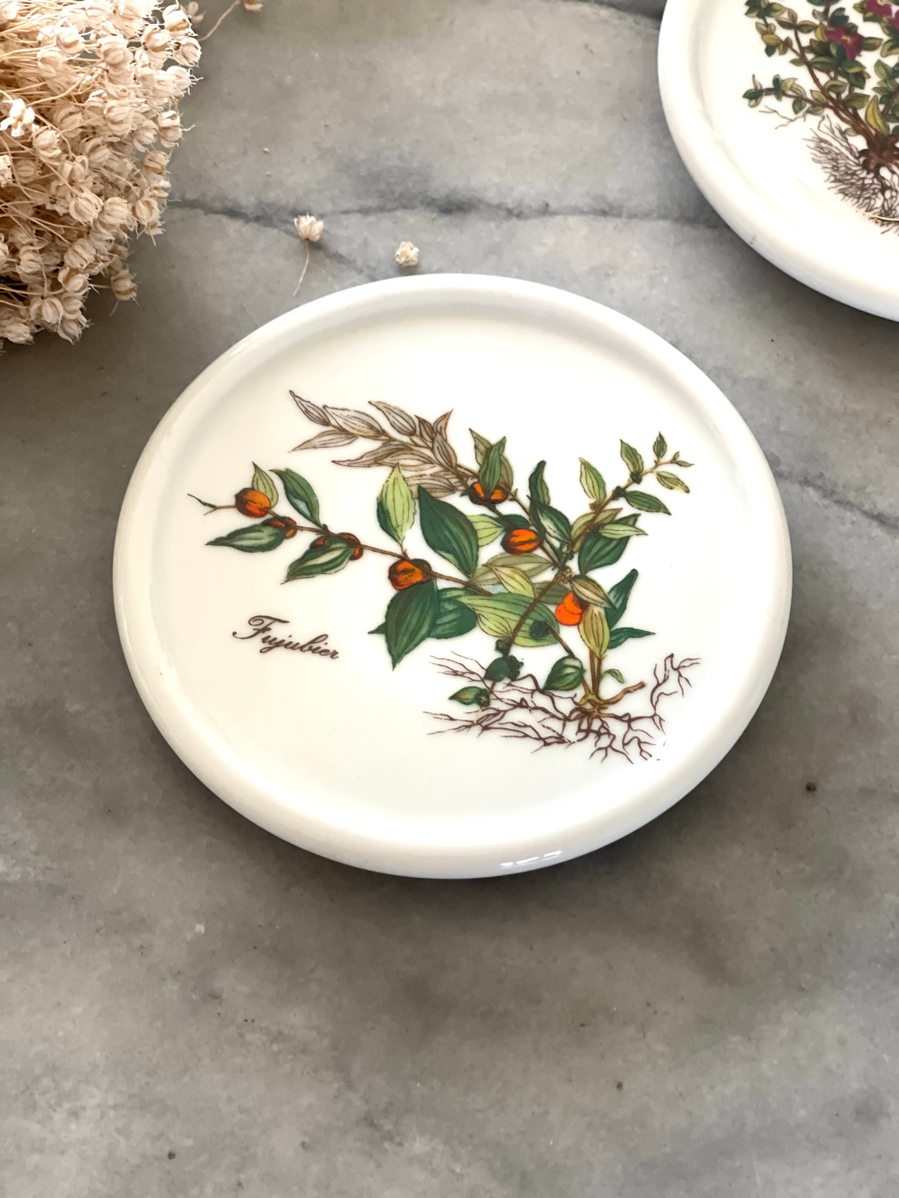 6 under glass porcelain 1970