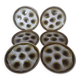 set of 6 oyster plates - Moulin des loups