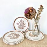 9 dessert plates herbarium thistles