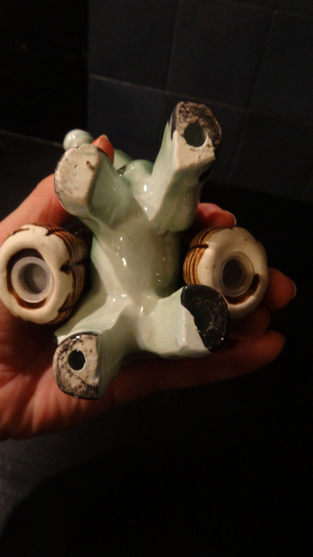 Salt and pepper donkey