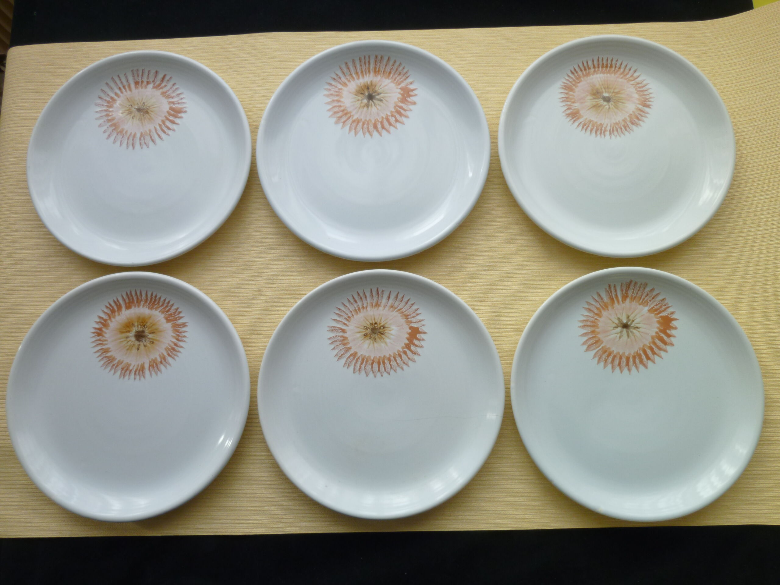 Set of 6 Flat Plates Faïence de St Amand 1713 Vintage 70s
