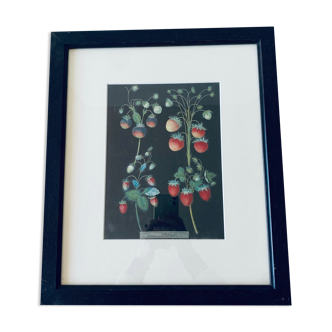 Framed lithograph raspberries