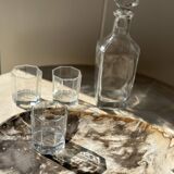 Very large pocket or dish in petrified wood