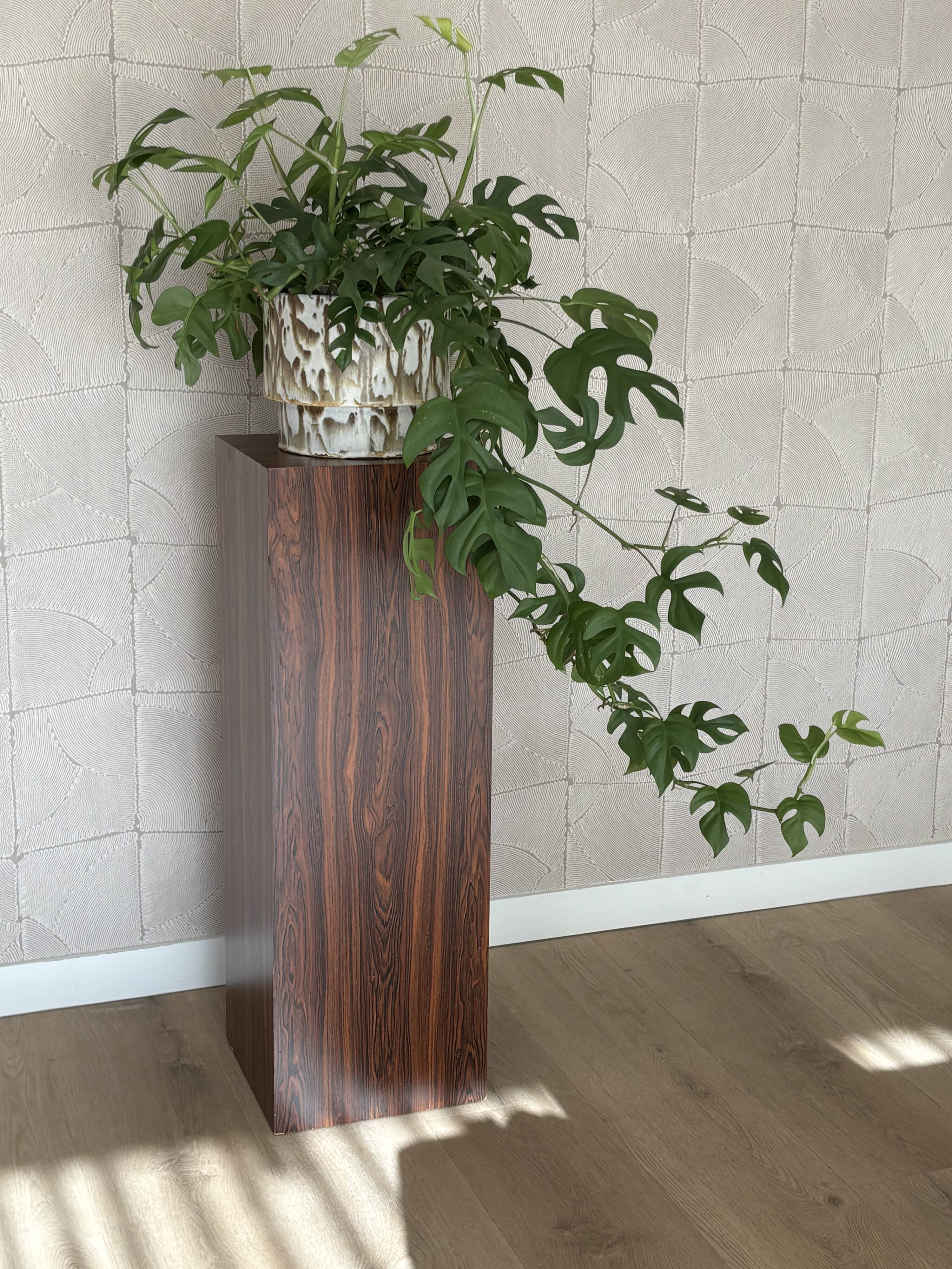 Vintage plant column in rosewood veneer 80s design