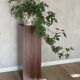 Vintage plant column in rosewood veneer 80s design