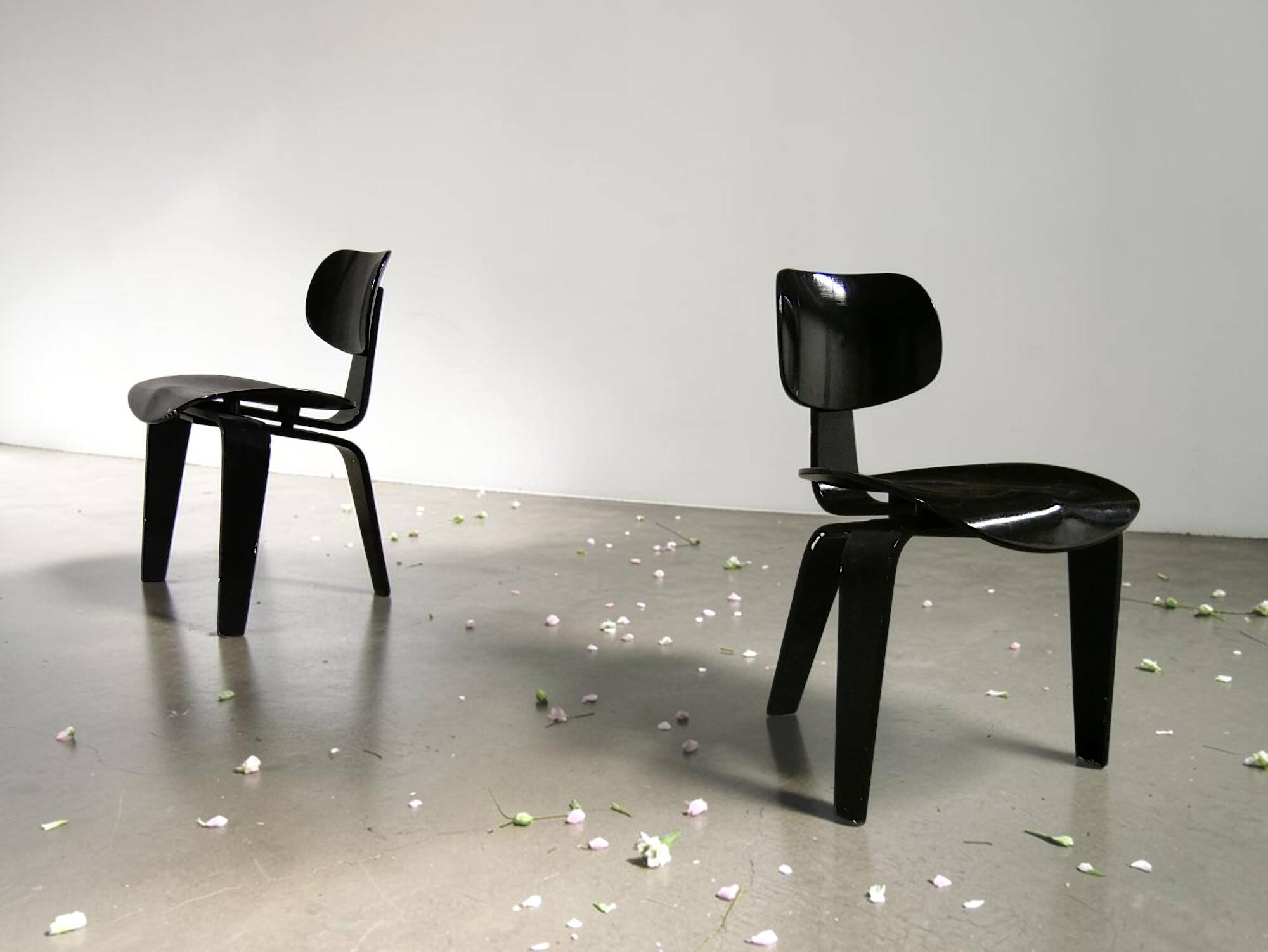Pair of "SE 42" chairs by Egon Eiermann - Vintage
