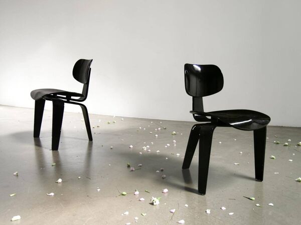 Paire de chaise  ''SE 42'' de Egon Eiermann - Vintage