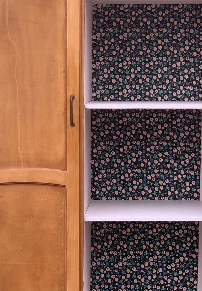 Parisian wardrobe vintage beech 1970