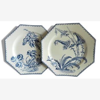 Duo d'assiettes octogonales modèle Indiana en porcelaine fine de Clairefontaine
