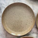 Series of 6 flat plates in vintage stoneware