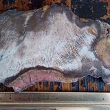 Fossil wood slice